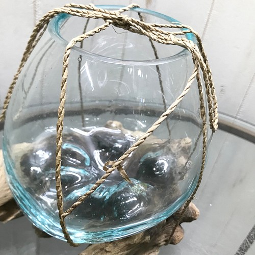 金魚鉢 アクアリウム 水草 インドネシア バリ島 流木ガラス 7 その他 