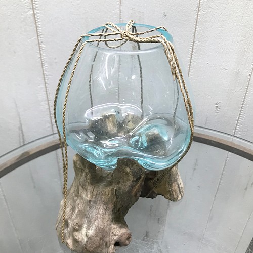 金魚鉢 アクアリウム 水草 インドネシア バリ島 流木ガラス 8 その他 