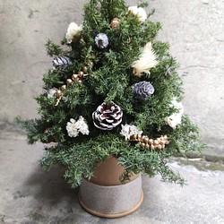 【HMD.Flowers】『雪花紛飛』乾燥花 聖誕樹 雪松 果實 聖誕節 居家裝飾 松果 第1張的照片