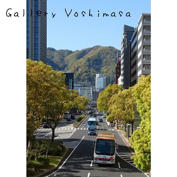 新緑「フラワーロード」 「緑のある暮らし」2L判サイズ光沢写真縦 神戸風景写真 神戸六甲山 写真のみ 送料無料