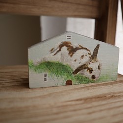 手繪小房子｜家有兔兔｜粉藍房子灰色屋頂｜藍天照映窗戶 第1張的照片