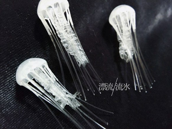 Fake Jellyfish アマクサクラゲ【ミニ】 1枚目の画像