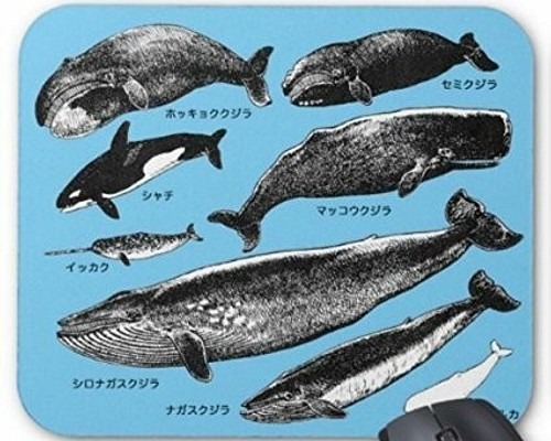 クジラの仲間のマウスパッド フォトパッド 世界の野生動物シリーズ 薄青地 マウスパッド Dohshin 通販 Creema クリーマ ハンドメイド 手作り クラフト作品の販売サイト