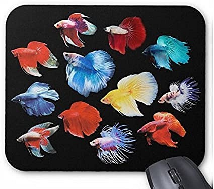 カラフルなベタのマウスパッド 黒地 フォトパッド 世界の熱帯魚シリーズ Turborecordings Com