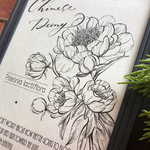 芍薬の花を線画で イラスト Hana 通販 Creema クリーマ ハンドメイド 手作り クラフト作品の販売サイト