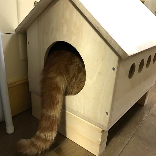 猫小屋 犬小屋 キャットハウス ドッグハウス 猫ちぐら 小型犬 屋内 ハウス 小屋 海人 通販 Creema クリーマ ハンドメイド 手作り クラフト作品の販売サイト