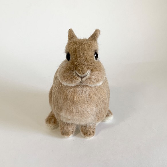 【包郵】羊毛氈兔荷蘭矮人坐墊｜公仔毛絨公仔 第1張的照片