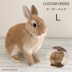 オーダーメイド Lサイズ 羊毛フェルト うさぎ ペット うちの子 オーダー 人形 ぬいぐるみ プレゼントやギフトにも 羊毛フェルト Bunny S Heaven 通販 Creema クリーマ ハンドメイド 手作り クラフト作品の販売サイト