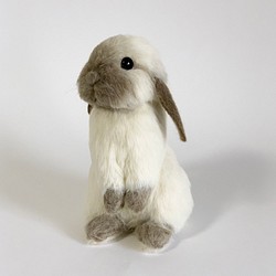 【免運費】毛氈兔荷蘭垂耳兔Utachi ｜垂耳寵物兔手工製作 第1張的照片