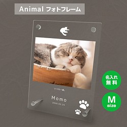【名入れ無料】 フォトフレーム サイズM ペット ペットグッズ 写真立て フォトスタンド cat003m 1枚目の画像