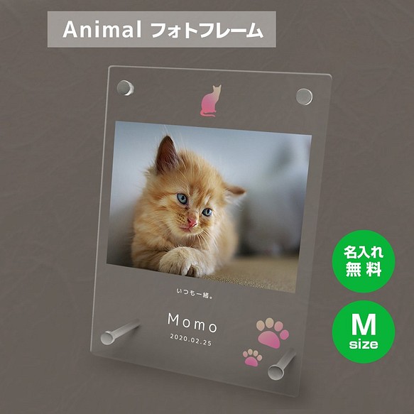 【名入れ無料】 フォトフレーム サイズM ペット ペットグッズ 写真立て フォトスタンド cat008m 1枚目の画像