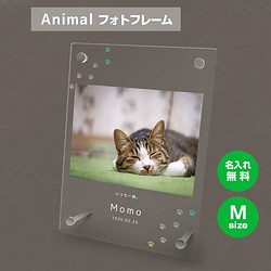 【名入れ無料】 フォトフレーム サイズM ペット ペットグッズ 写真立て フォトスタンド cat012m 1枚目の画像