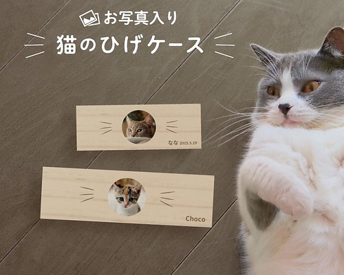 【 メール便 送料無料 】 猫のひげケース 写真 ヒゲ 髭 ネコ ねこ