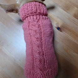 送料無料　小型犬用セーター 1枚目の画像