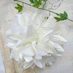 白色大麗花典雅的胸花 第1張的照片