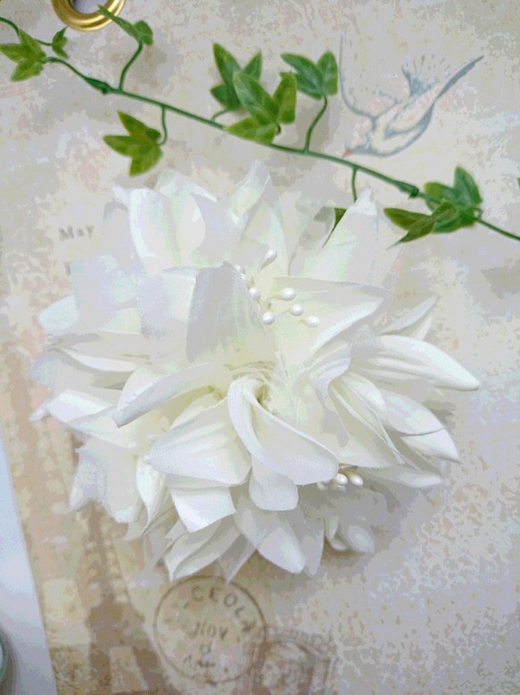 白色大麗花典雅的胸花 第1張的照片
