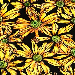 Cedar West 110cm x 50cm 太陽の花/Yellow S 1枚目の画像