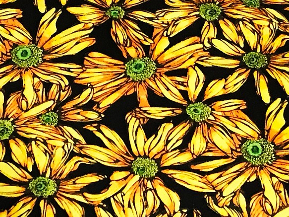 Cedar West 110cm x 50cm 太陽の花/Yellow S 1枚目の画像