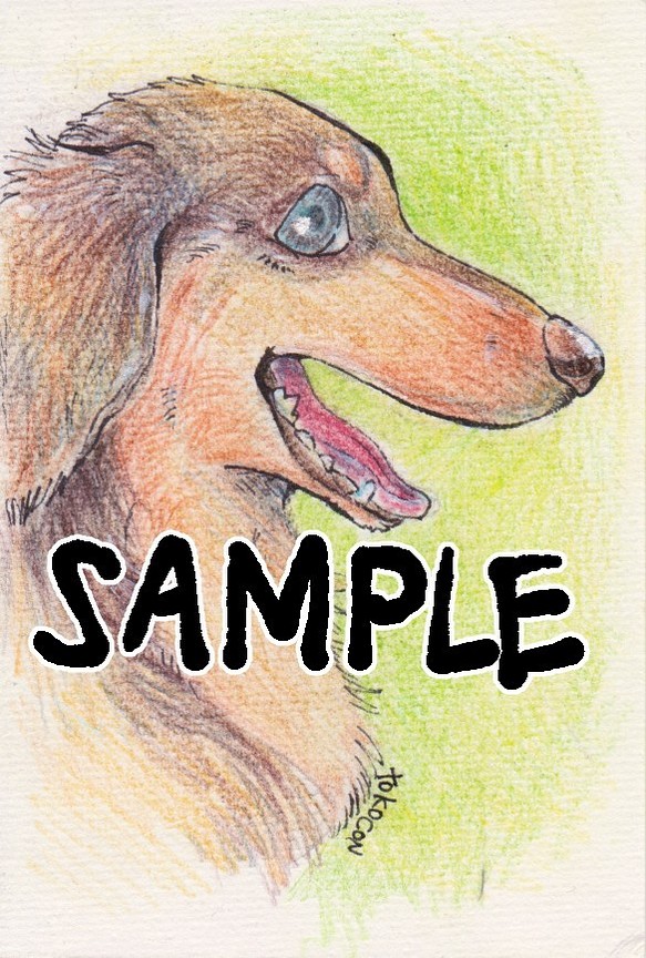 イラストオーダー　色鉛筆で動物イラスト似顔絵お描きします。動物化された似顔絵、擬人化されたペットの似顔絵どうですか？ 1枚目の画像