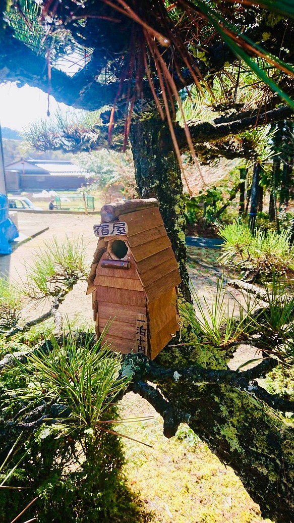 【24時間以内に発送】手作り木工　化粧ベニアで全体を覆った鳥の巣箱　据え置きタイプ　餌台　水飲み場 1枚目の画像