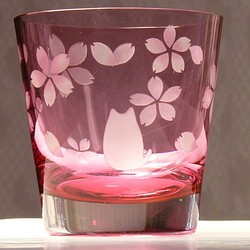 免費玻璃杯櫻桃花貓（1） 第1張的照片