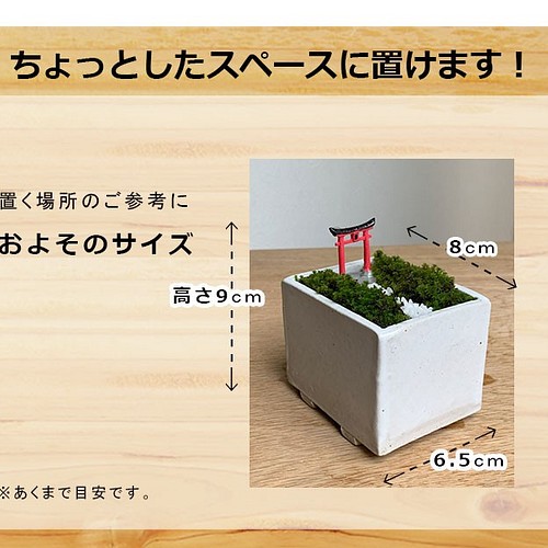 独特の上品 【是心】苔鉢 盆栽鉢 持ち手付きかご型で幅約10cm