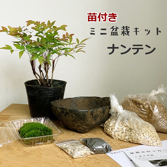 ご自宅で盆栽作りませんか 南天の苗付き盆栽作成キット くらま鉢 セット その他インテリア雑貨 みどり屋 和草 にこぐさ 通販 Creema クリーマ ハンドメイド 手作り クラフト作品の販売サイト