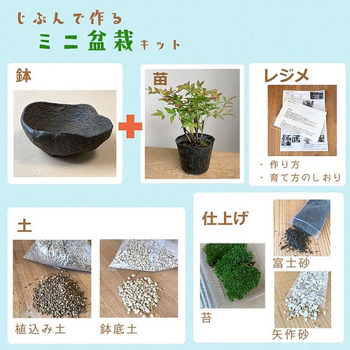 ご自宅で盆栽作りませんか 南天の苗付き盆栽作成キット くらま鉢 セット その他インテリア雑貨 みどり屋 和草 にこぐさ 通販 Creema クリーマ ハンドメイド 手作り クラフト作品の販売サイト