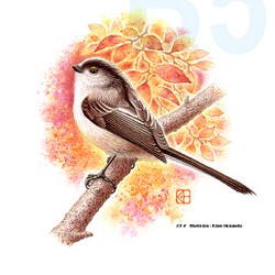 「水彩花鳥」シリーズ「エナガ」B５ 1枚目の画像