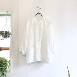 flopsy P blouse (white x wb) 1枚目の画像