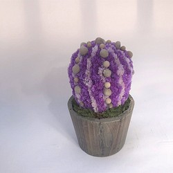 【値下げ】Cactus(バルーン23/ラベンダー) カラフルサボテンオブジェ　ドライフラワースターチス 1枚目の画像