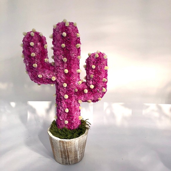【値下げ】Cactus(ハンズ41/ピンク) カラフルサボテンオブジェ　ドライフラワースターチス 1枚目の画像