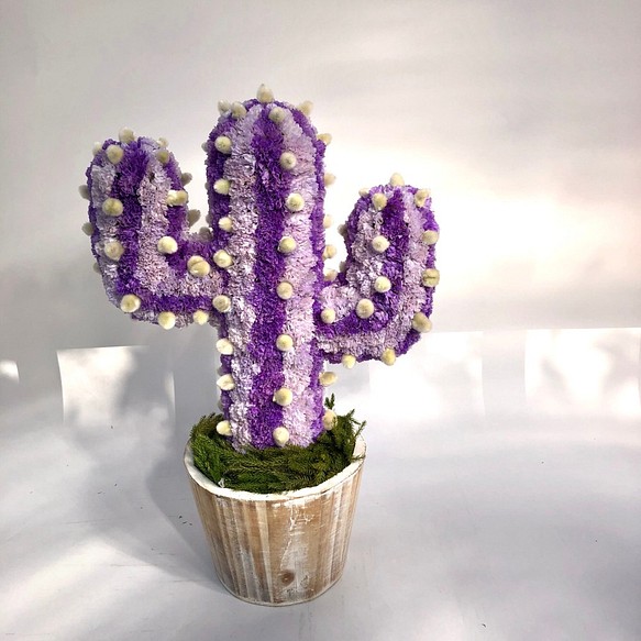 Cactus(ハンズ34/ライトパープル) カラフルサボテンオブジェ　ドライフラワースターチス 1枚目の画像