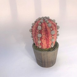 【値下げ】Cactus(バルーン23/オレンジ) カラフルサボテンオブジェ　ドライフラワースターチス 1枚目の画像