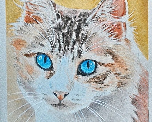 076青い目の猫 原画 一点物 絵画 アトリエ 雅 通販｜Creema(クリーマ)