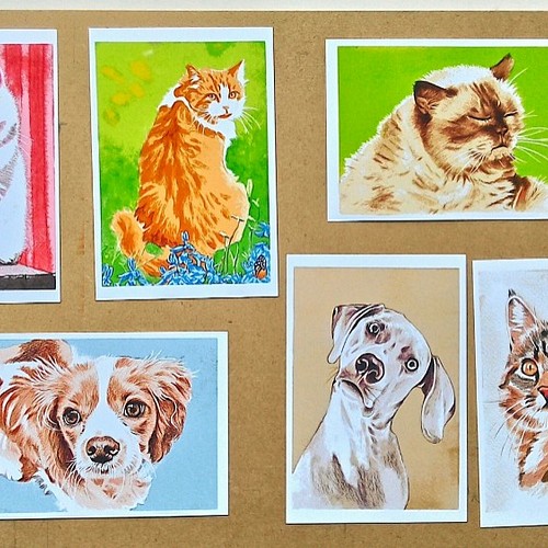 ポストカードサイズ 水彩+色鉛筆画犬、猫イラスト5枚セット 900円