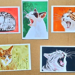 ポストカードサイズ　水彩+色鉛筆画犬、猫イラスト5枚セット　900円 1枚目の画像