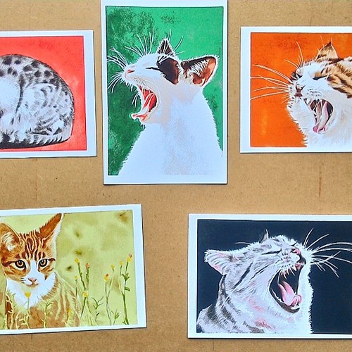 ポストカードサイズ 水彩+色鉛筆画犬、猫イラスト5枚セット 900円