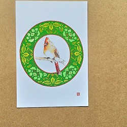 0045  色鉛筆　イラスト　小鳥　 A4サイズ 1枚目の画像