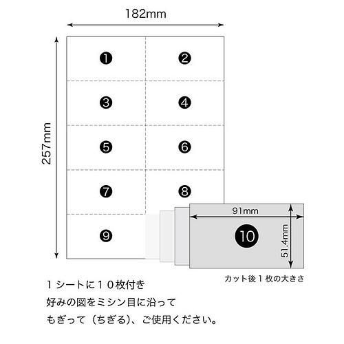 文鳥 図案 もぎり メモ紙 メッセージカード B5サイズ 3シート入 文房具 ステーショナリー きちはん 通販 Creema クリーマ ハンドメイド 手作り クラフト作品の販売サイト