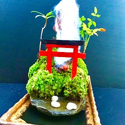 苔盆景(苔島蒼山&鳥居) 1枚目の画像