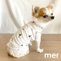 ハンドメイド 犬服 Sサイズ 小型犬 Tシャツ バレリーナ リメイク【ホワイト】 1枚目の画像