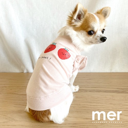 ハンドメイド 犬服 Sサイズ 小型犬 Tシャツ いちごプリント リメイク