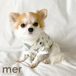 ハンドメイド犬服 Sサイズ 小型犬用 ラグランTシャツ【カーキ】 ペット 