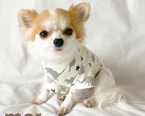 ハンドメイド犬服 Sサイズ 小型犬用 恐竜柄Tシャツ【アイボリー】