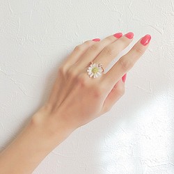 daisy ring♡ 1枚目の画像