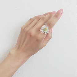 clear ring♡glass flower♡daisy 1枚目の画像
