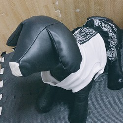 ハンドメイド 犬 洋服  ドッグウェア ワンピース 切り替え フリル  柄 Ｌサイズ 1枚目の画像