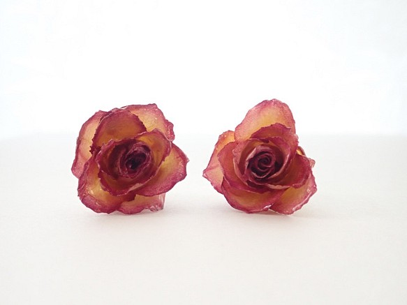 Rosemellia　玫瑰乾燥花　樹脂加工耳環＋珍珠後耳扣　橙色　❊空郵台灣5-7天 第1張的照片