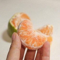 ウールフェルト手作りオレンジフルーツリアルなブローチ/ピンオリジナルフードシリーズガールフレンド交換ギフト 1枚目の画像